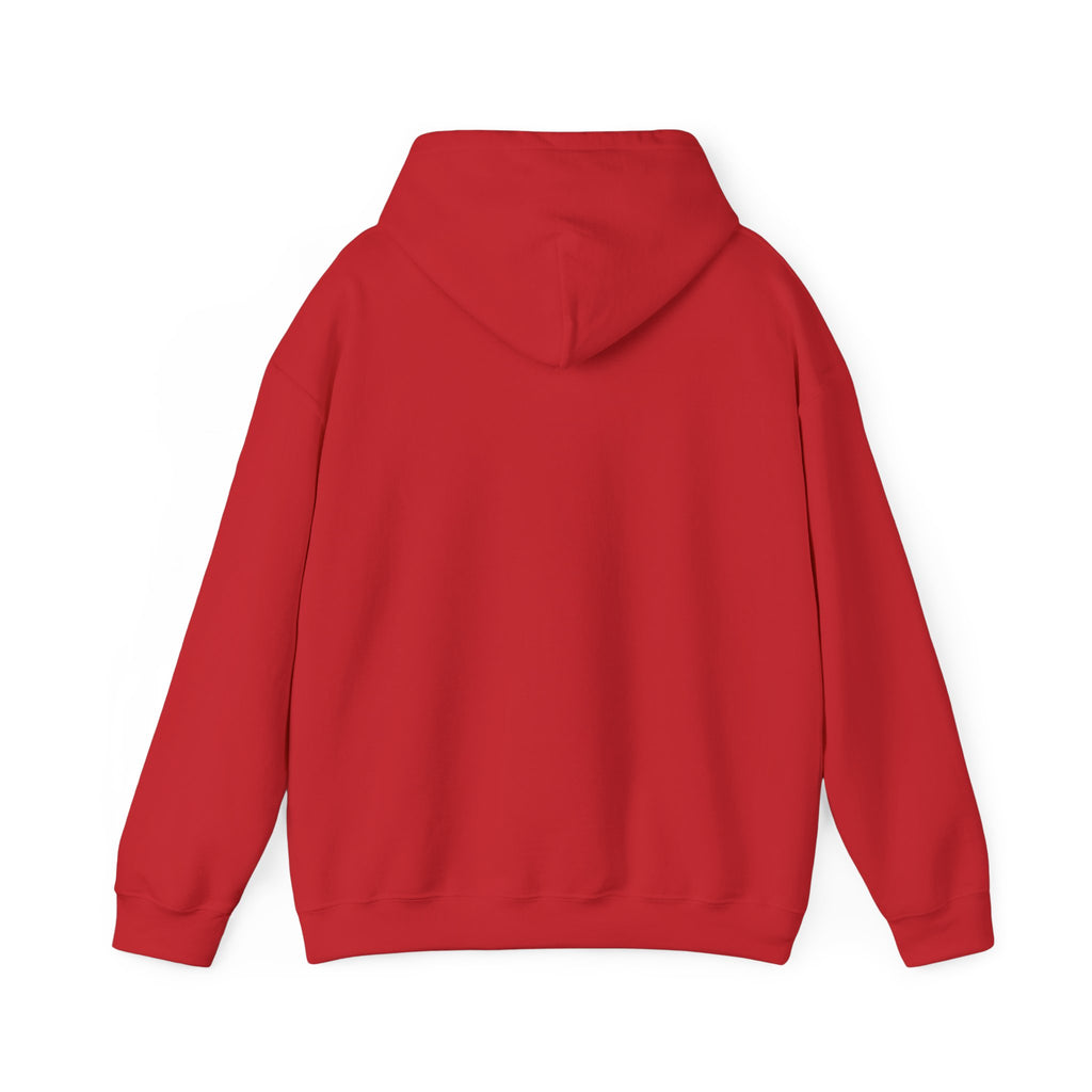 Hoodie — 'Falling Sky' Cute Cloud Graphic Pullover Sweatshirt