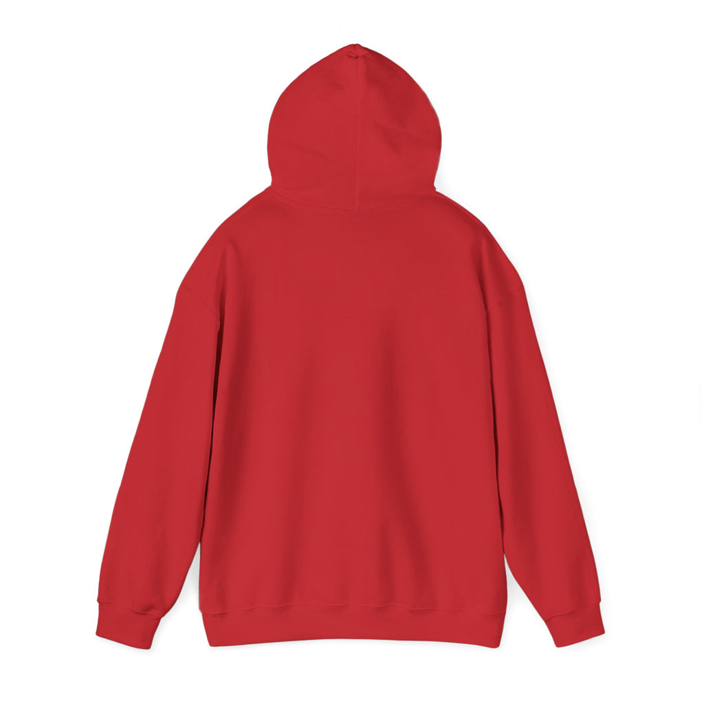 Hoodie — 'Falling Sky' Cute Cloud Graphic Pullover Sweatshirt