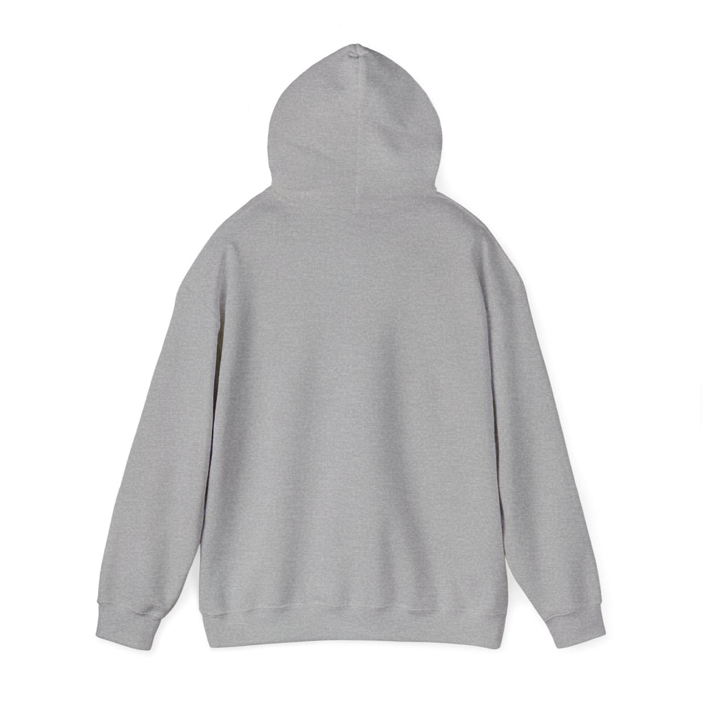 Hoodie — 'Falling Sky' Cute Cloud Graphic Pullover Sweatshirt