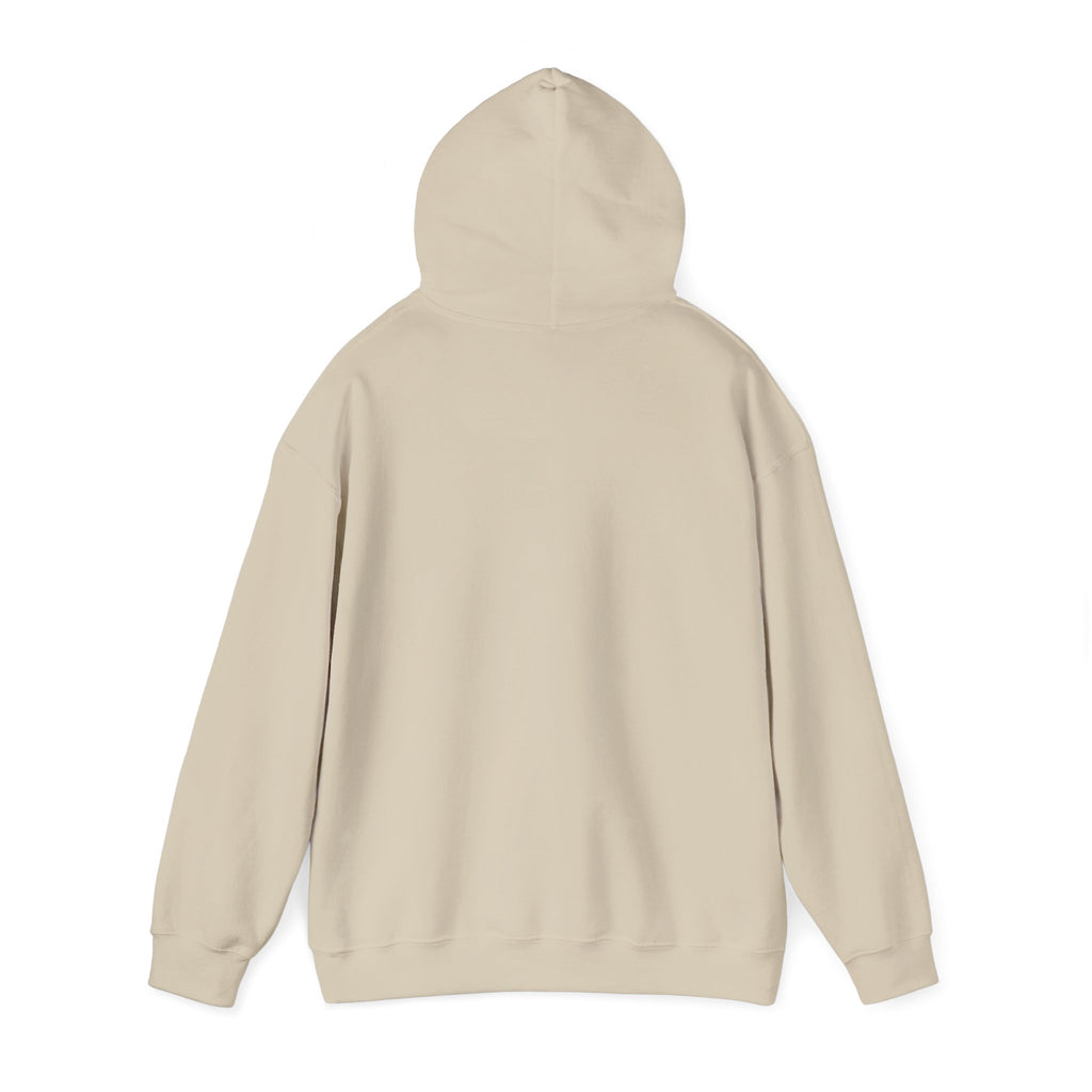 Hoodie — 'Falling Sky' Cute Cloud Graphic Pullover Sweatshirt